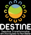 DESTINE 2011